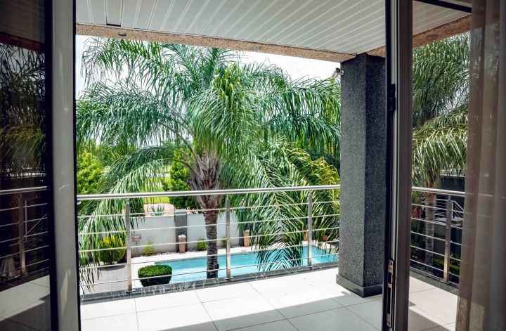 Cycad Palms product image